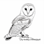 Simple Barn Owl Coloring Pages for Relaxation 1