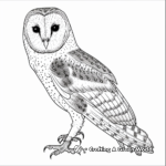 Simple Barn Owl Coloring Pages for Relaxation 2