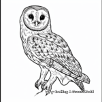 Simple Barn Owl Coloring Pages for Relaxation 4
