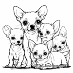 Small Dog Breed: Chihuahua Family Coloring Pages 4