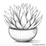 Stunning Agave Plant Coloring Pages 4