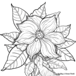 Traditional Poinsettia Coloring Pages 2
