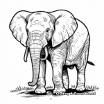 Wild Jungle Elephants Coloring Pages 1