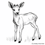 Adorable Elk Calf Coloring Pages 1