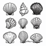 Assorted Seashell Coloring Pages for Children 2