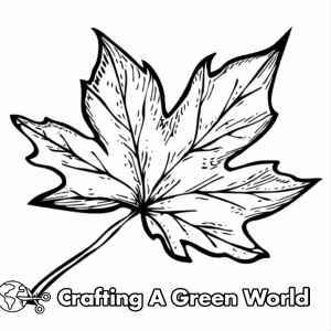 Give Thanks Coloring Pages - Free &amp; Printable!