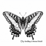 Beautiful Butterfly Detailed Coloring Pages 1