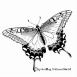 Beautiful Butterfly Detailed Coloring Pages 2