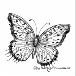 Beautiful Butterfly Detailed Coloring Pages 3