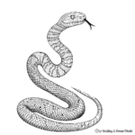 Black Mamba Snake Detailed Coloring Pages 1