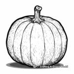 Blank Pumpkin Patch Coloring Pages 4
