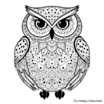 Bohemian Owl Coloring Pages for Adults 1
