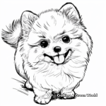 Cheerful Lisa Frank Pomeranian Puppy Coloring Pages 2