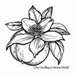 Delicate Orange Blossom Flower Coloring Pages 2