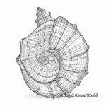 Detailed Abalone Seashell Coloring Pages for Artists 4