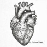 Detailed Human Heart Coloring Pages 1