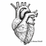 Detailed Human Heart Coloring Pages 2