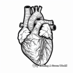 Detailed Human Heart Coloring Pages 3