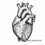 Detailed Human Heart Coloring Pages 4