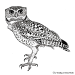 Detailed Spotted Owl Coloring Pages for Adults 2