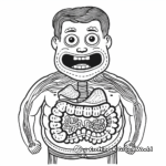Digestive System Coloring Pages for Science Enthusiasts 3