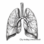 Easy Human Lung Coloring Pages for Beginners 1