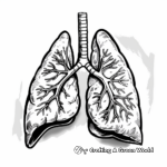 Easy Human Lung Coloring Pages for Beginners 2