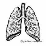Easy Human Lung Coloring Pages for Beginners 3