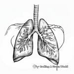 Easy Human Lung Coloring Pages for Beginners 4