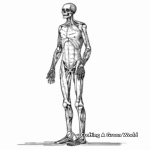 Fantastic Full-Body Anatomy Coloring Pages 3