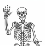 Fun Skeleton Coloring Pages for Kids 3