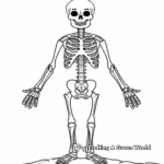 Fun Skeleton Coloring Pages for Kids 4
