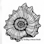 Intricate Spiral Seashell Coloring Pages 2