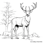 Majestic Bull Elk Coloring Pages 1