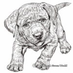 Playful Lisa Frank Labrador Puppy Coloring Pages 1