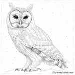 Realistic Barred Owl Coloring Pages 1
