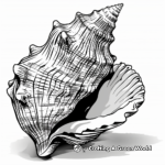 Seashell Collection Coloring Pages for Enthusiasts 2