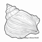 Seashell Collection Coloring Pages for Enthusiasts 3
