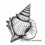 Seashell Collection Coloring Pages for Enthusiasts 4