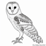 Simple Barn Owl Coloring Pages for Relaxation 2