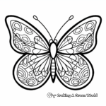 Simple Orange Butterfly Coloring Pages for Children 4