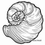 Striped Nautilus Seashell Coloring Pages 2