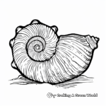 Striped Nautilus Seashell Coloring Pages 3
