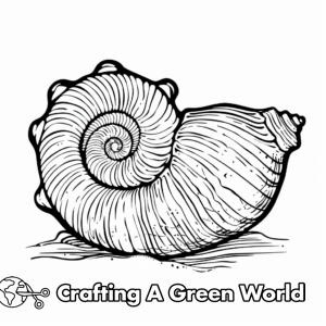 Seashell Coloring Pages - Free &amp; Printable!