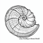 Striped Nautilus Seashell Coloring Pages 4