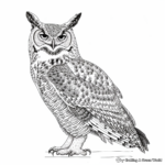Stylized Great Horned Owl Coloring Sheets 1