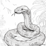 Tropical Rainforest Anaconda Coloring Pages 2