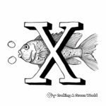 Xaviour the X-Ray Fish – Letter X Coloring Page 2