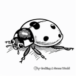 13. Lucky Ladybug Good Luck Coloring Pages 4