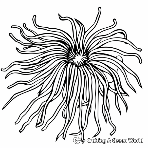 Sea Anemone Coloring Pages - Free &amp; Printable!